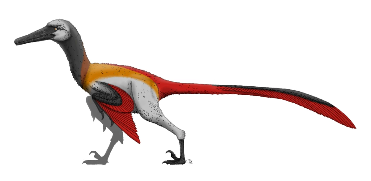 Ilustración paleontológica de Neuquenraptor