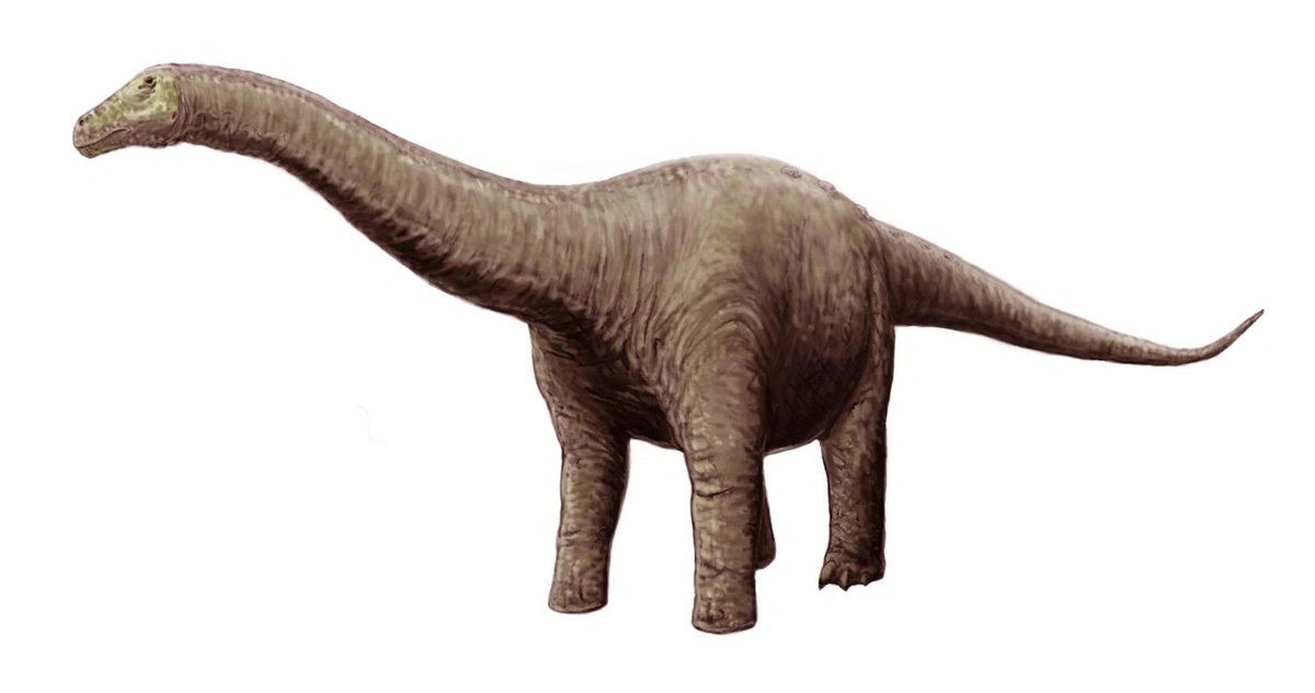 Ilustración paleontológica de Neuquensaurus