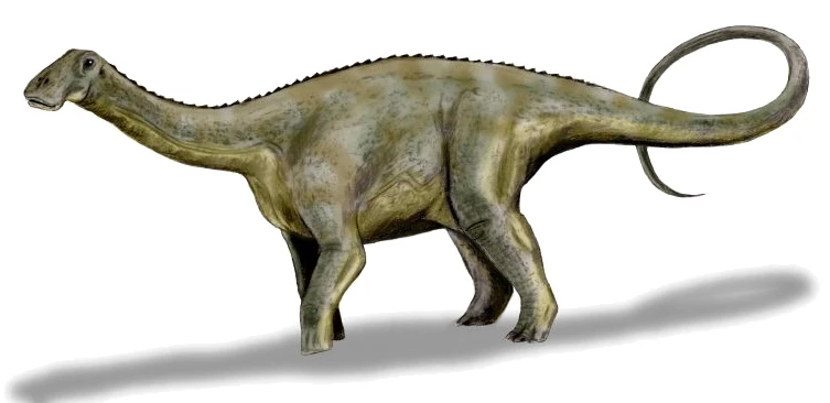 Ilustración paleontológica de Nigersaurus