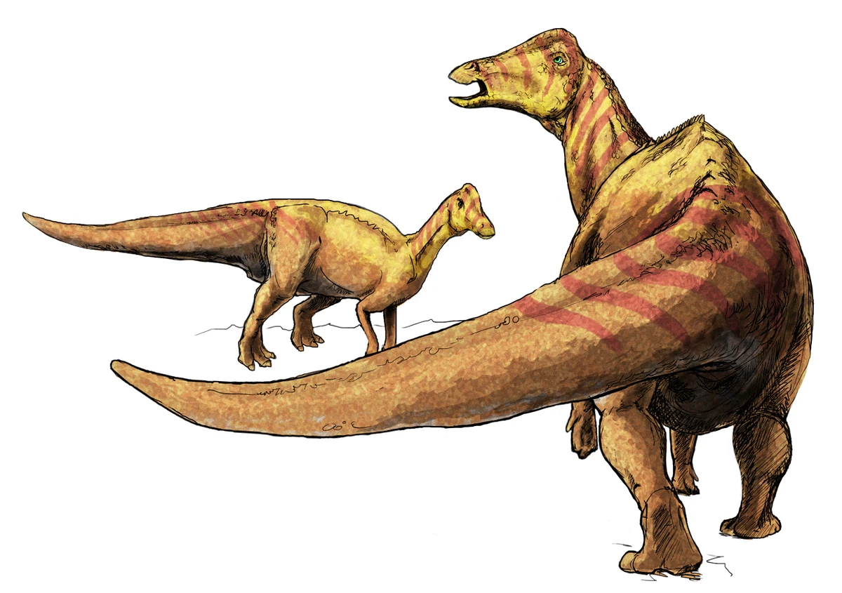 Ilustración paleontológica de Nipponosaurus