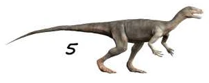 Ilustración paleontológica de Nyasasaurus