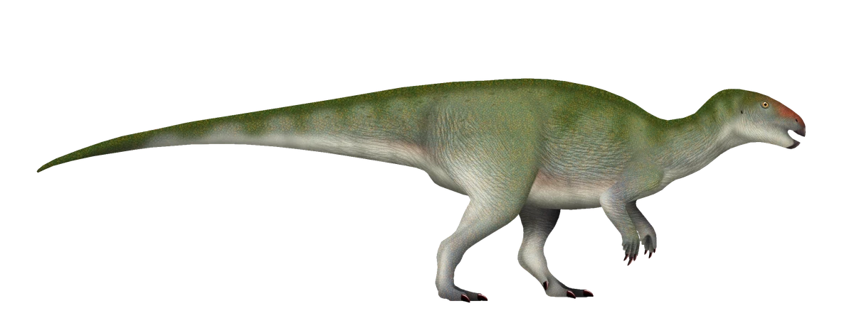 Ilustración paleontológica de Obelignathus