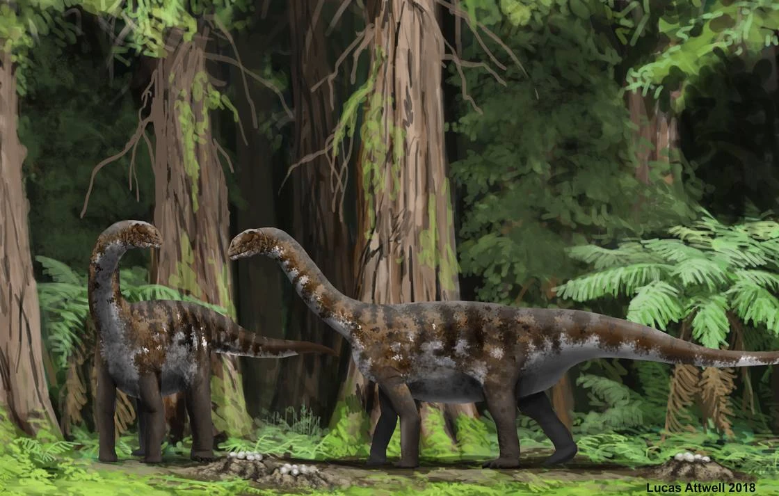 Ilustración paleontológica de Ohmdenosaurus