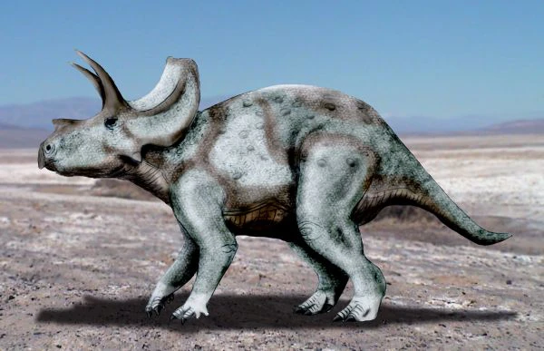 Ilustración paleontológica de Ojoceratops