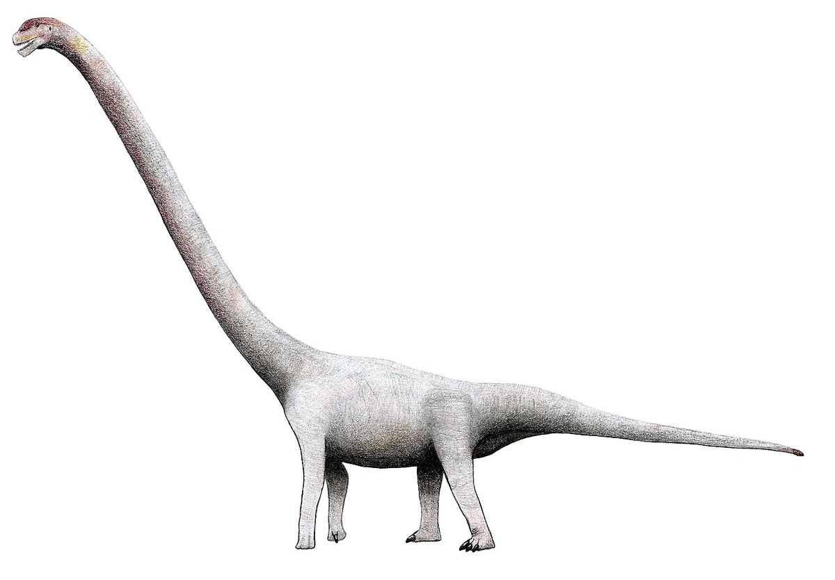 Ilustración paleontológica de Omeisaurus