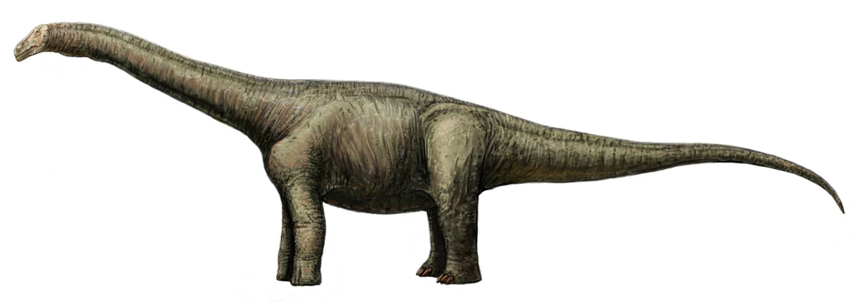 Ilustración paleontológica de Opisthocoelicaudia