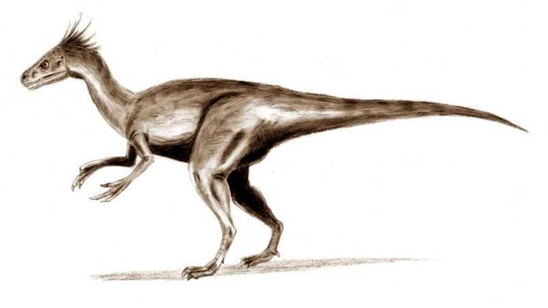 Ilustración paleontológica de Ornitholestes