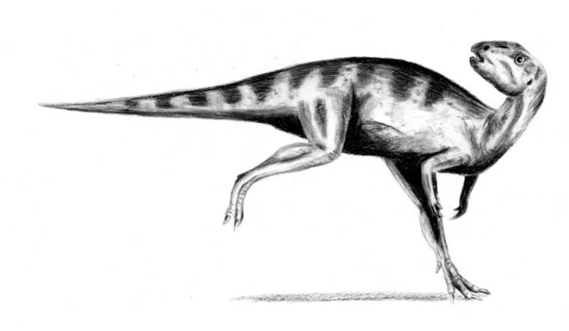 Ilustración paleontológica de Orodromeus
