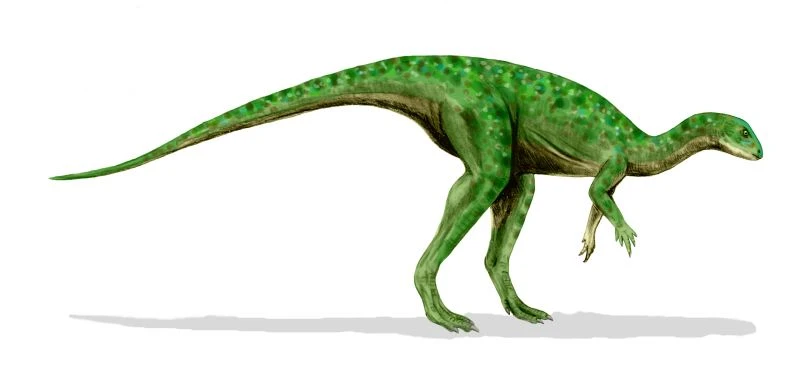 Ilustración paleontológica de Othnielosaurus