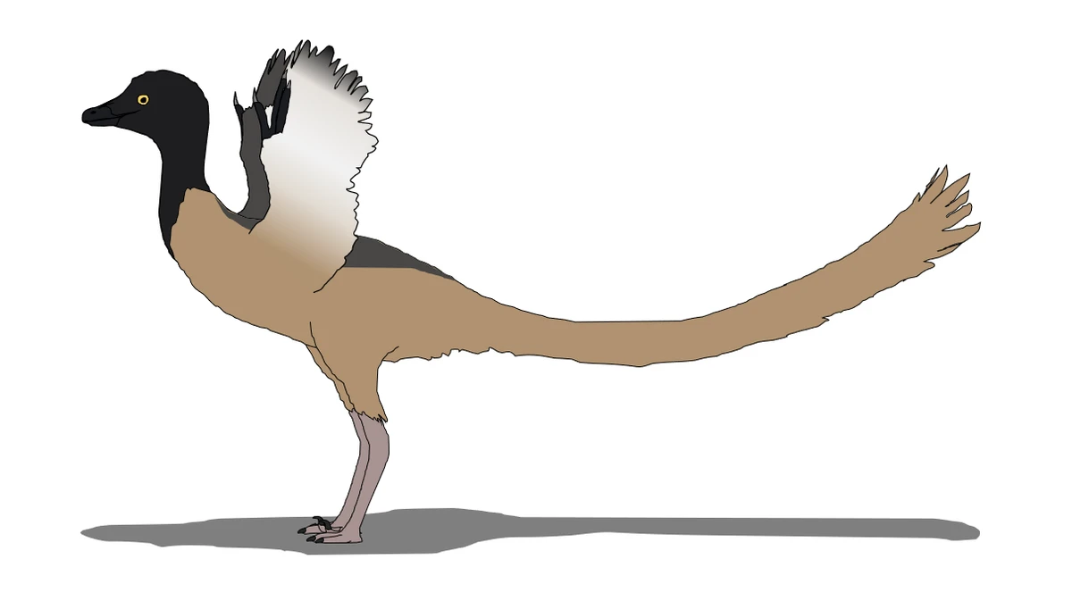 Ilustración paleontológica de Overoraptor