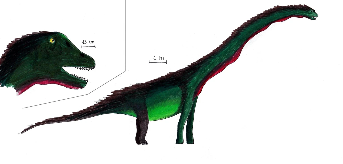 Ilustración paleontológica de Paluxysaurus