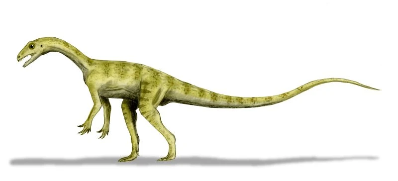 Ilustración paleontológica de Pantydraco