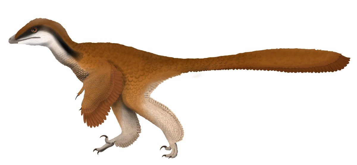 Ilustración paleontológica de Papiliovenator