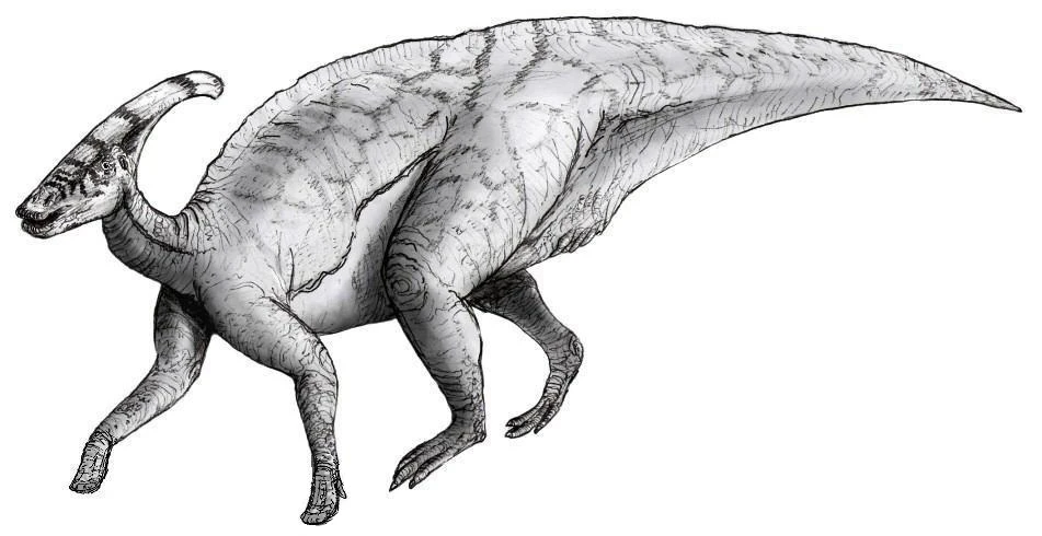 Ilustración paleontológica de Parasaurolophus