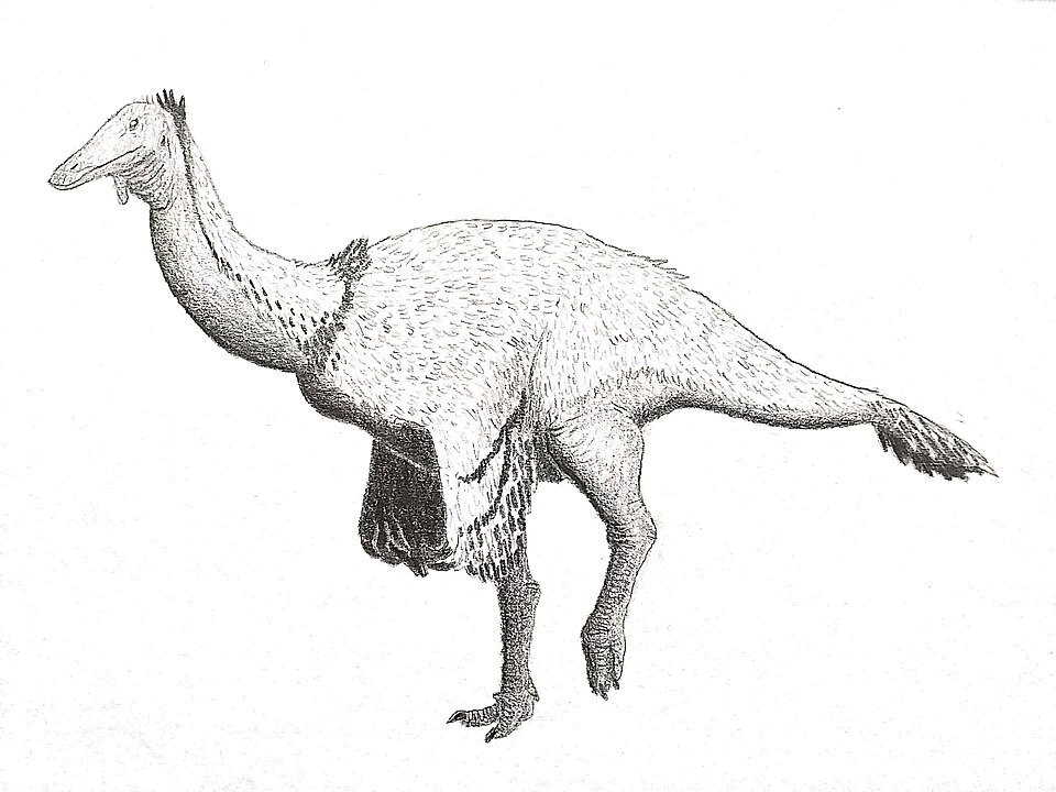 Ilustración paleontológica de Paraxenisaurus