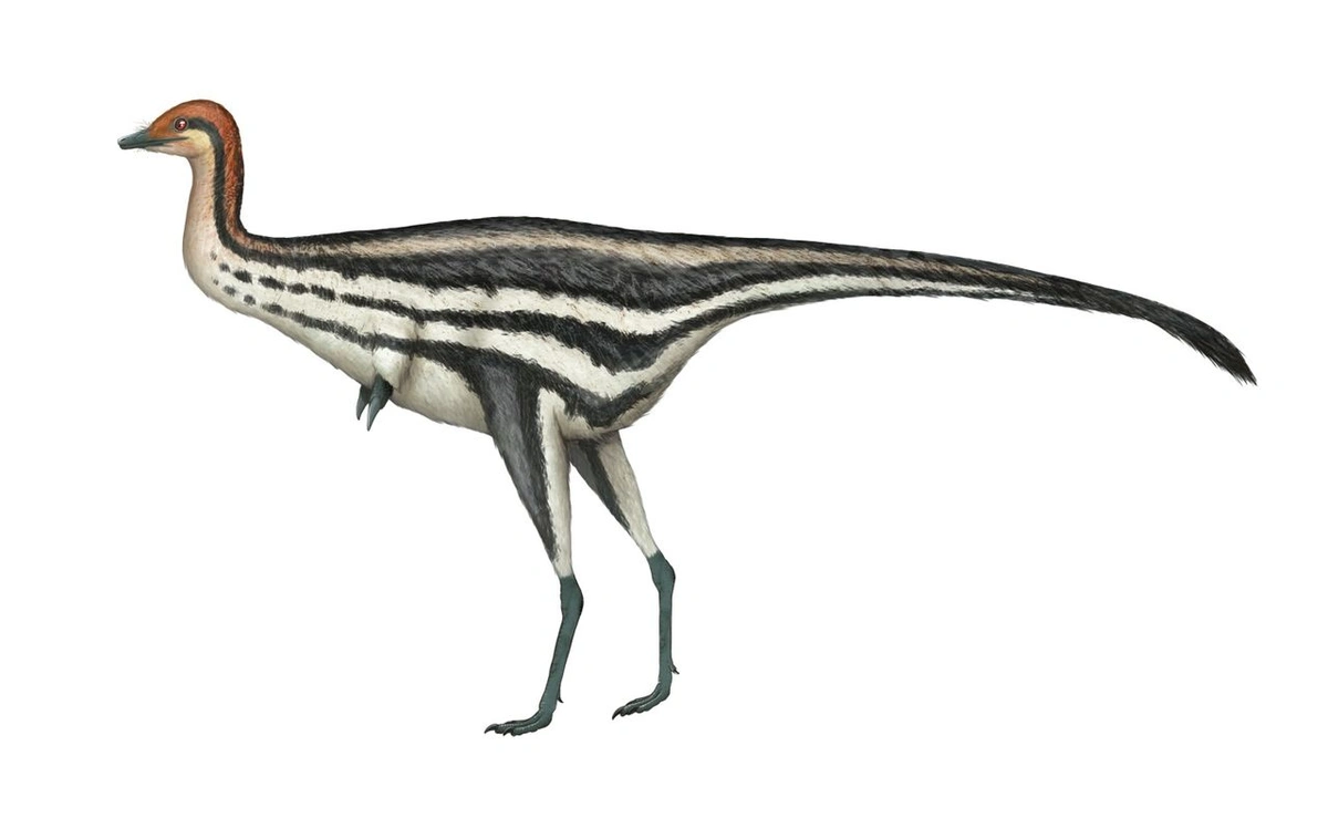 Ilustración paleontológica de Patagonykus