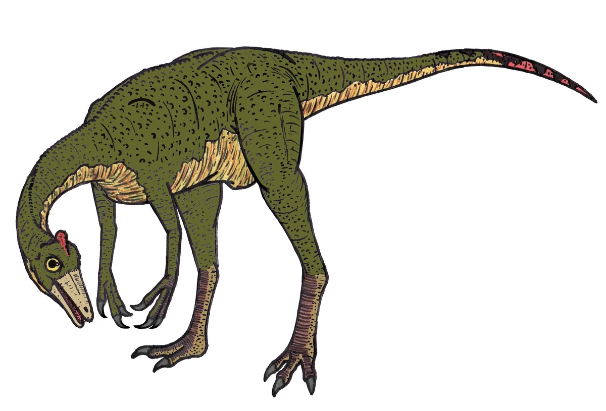 Ilustración paleontológica de Pelecanimimus