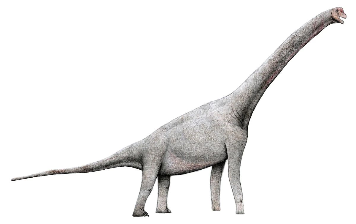Ilustración paleontológica de Pelorosaurus