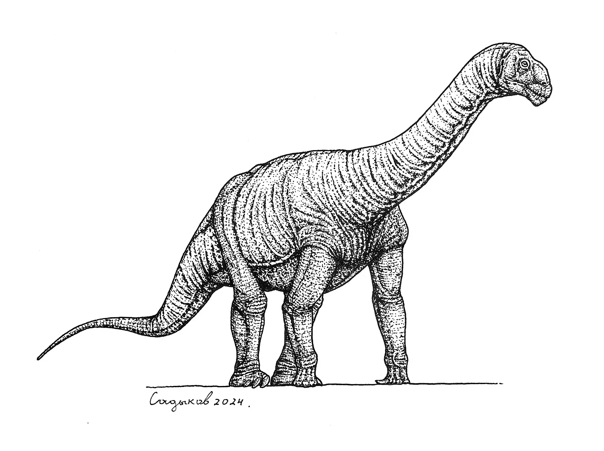 Ilustración paleontológica de Perijasaurus