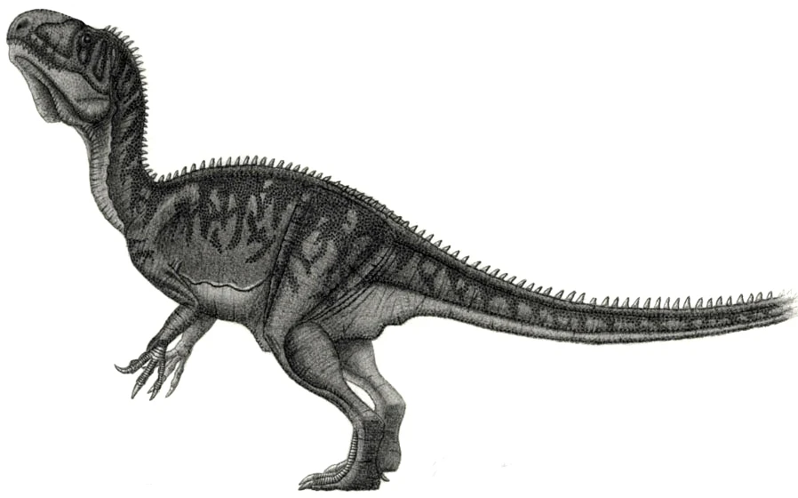 Ilustración paleontológica de Piveteausaurus