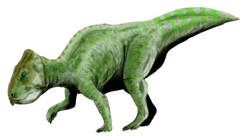 Ilustración paleontológica de Prenoceratops