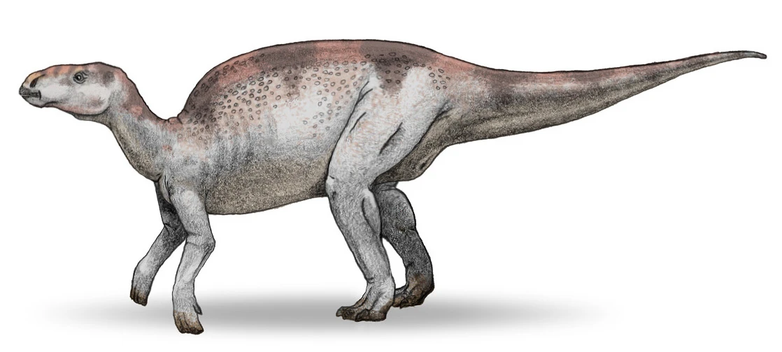 Ilustración paleontológica de Probactrosaurus