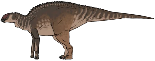 Ilustración paleontológica de Probrachylophosaurus