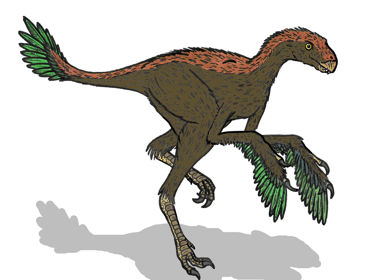 Ilustración paleontológica de Protarchaeopteryx