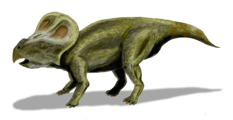 Ilustración paleontológica de Protoceratops