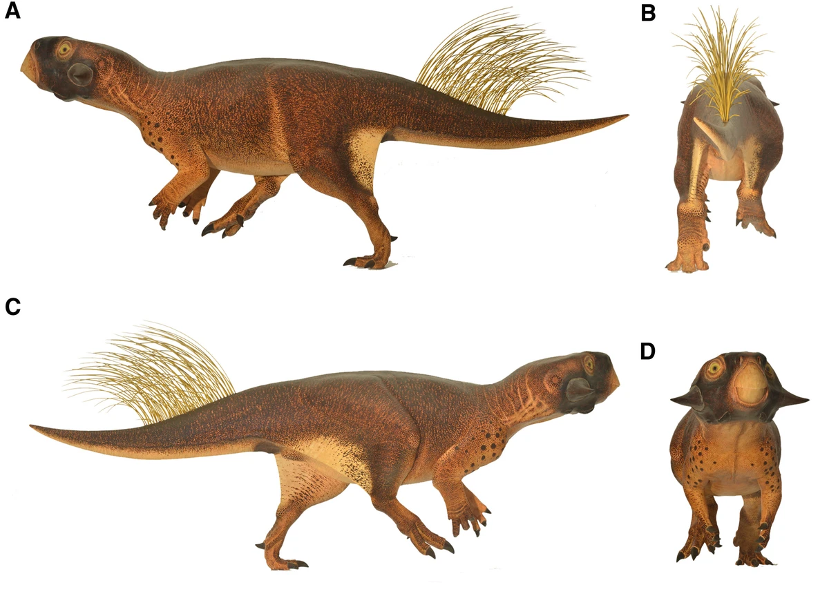 Ilustración paleontológica de Psittacosaurus
