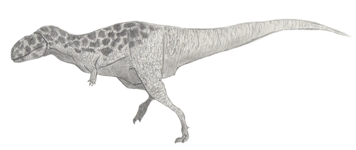 Ilustración paleontológica de Pycnonemosaurus