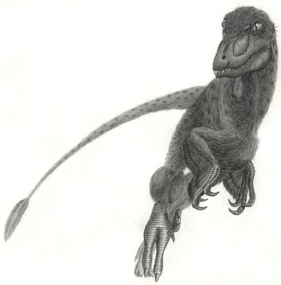 Ilustración paleontológica de Pyroraptor