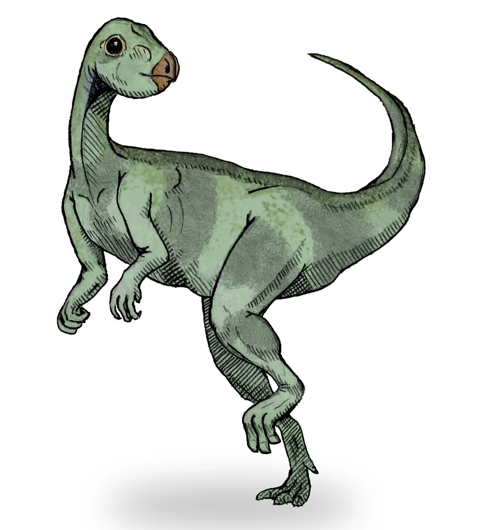 Ilustración paleontológica de Qantassaurus