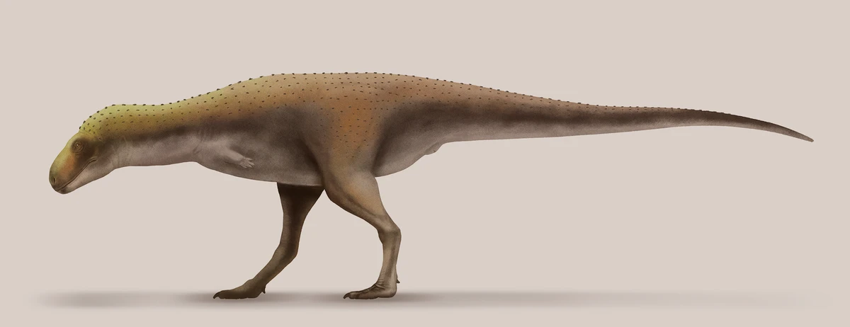 Ilustración paleontológica de Rahiolisaurus