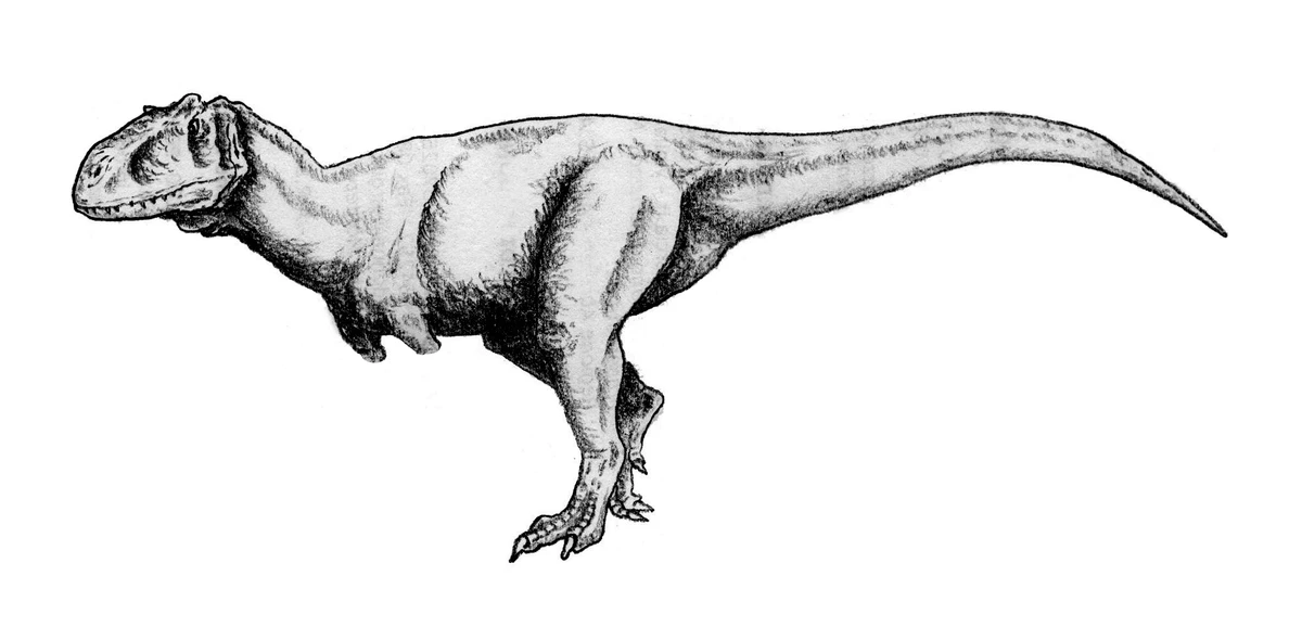 Ilustración paleontológica de Rajasaurus