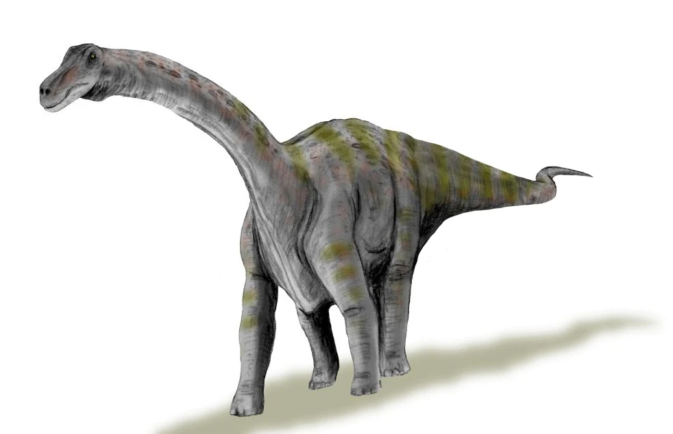 Ilustración paleontológica de Rapetosaurus