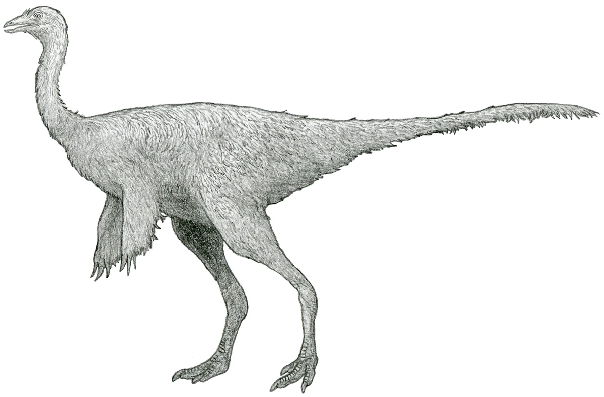 Ilustración paleontológica de Rativates