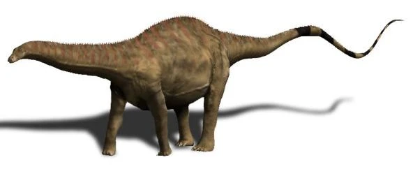 Ilustración paleontológica de Rebbachisaurus
