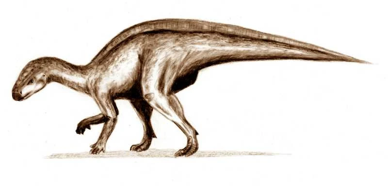Ilustración paleontológica de Rhabdodon