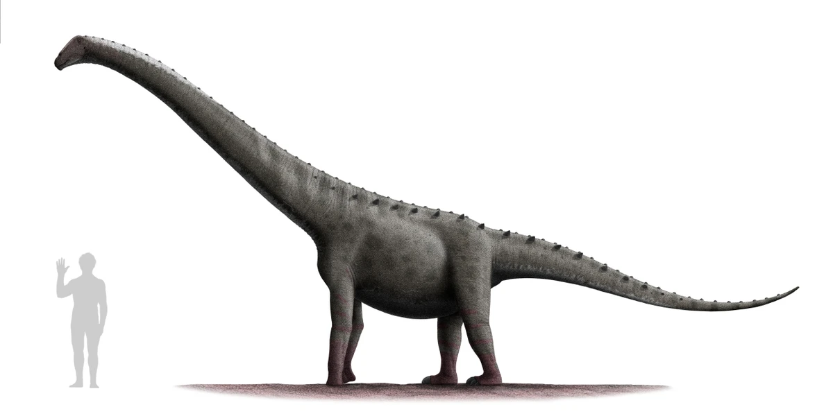 Ilustración paleontológica de Rinconsaurus