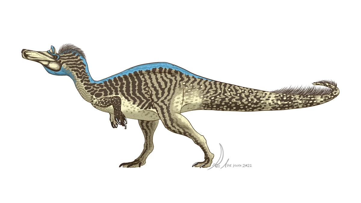Ilustración paleontológica de Riparovenator