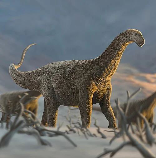 Ilustración paleontológica de Rocasaurus