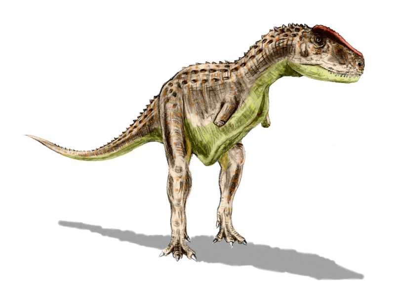 Ilustración paleontológica de Rugops