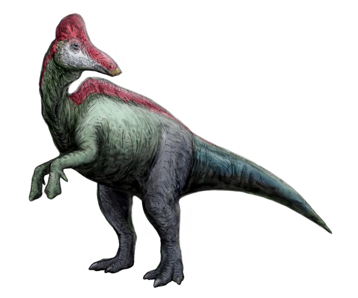 Ilustración paleontológica de Sahaliyania