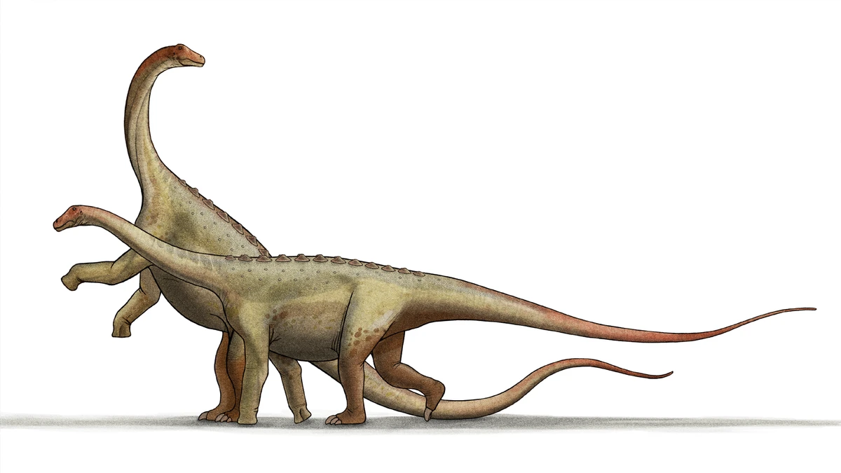 Ilustración paleontológica de Saltasaurus