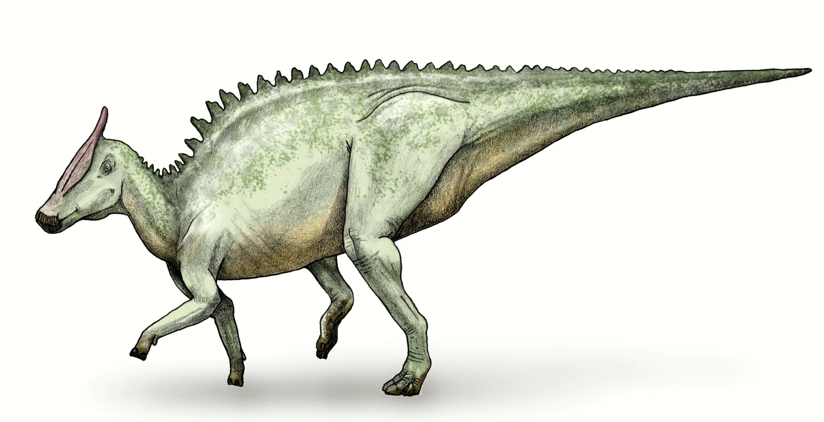 Ilustración paleontológica de Saurolophus