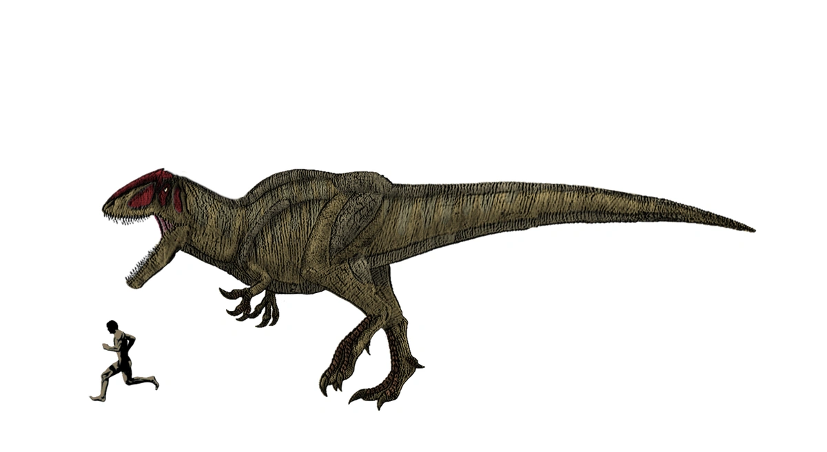 Ilustración paleontológica de Sauroniops
