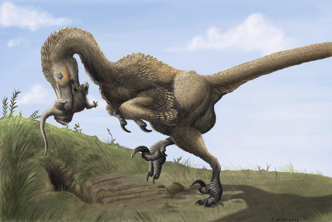 Ilustración paleontológica de Saurornitholestes
