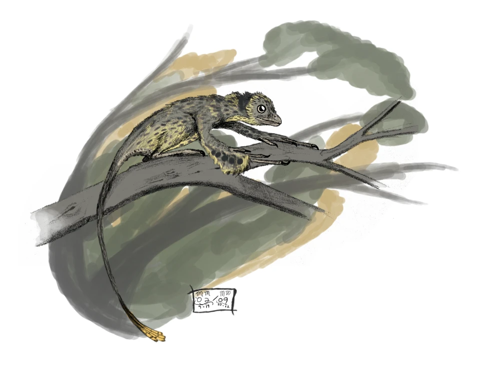 Ilustración paleontológica de Scansoriopteryx