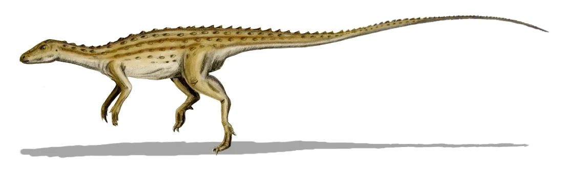 Ilustración paleontológica de Scutellosaurus